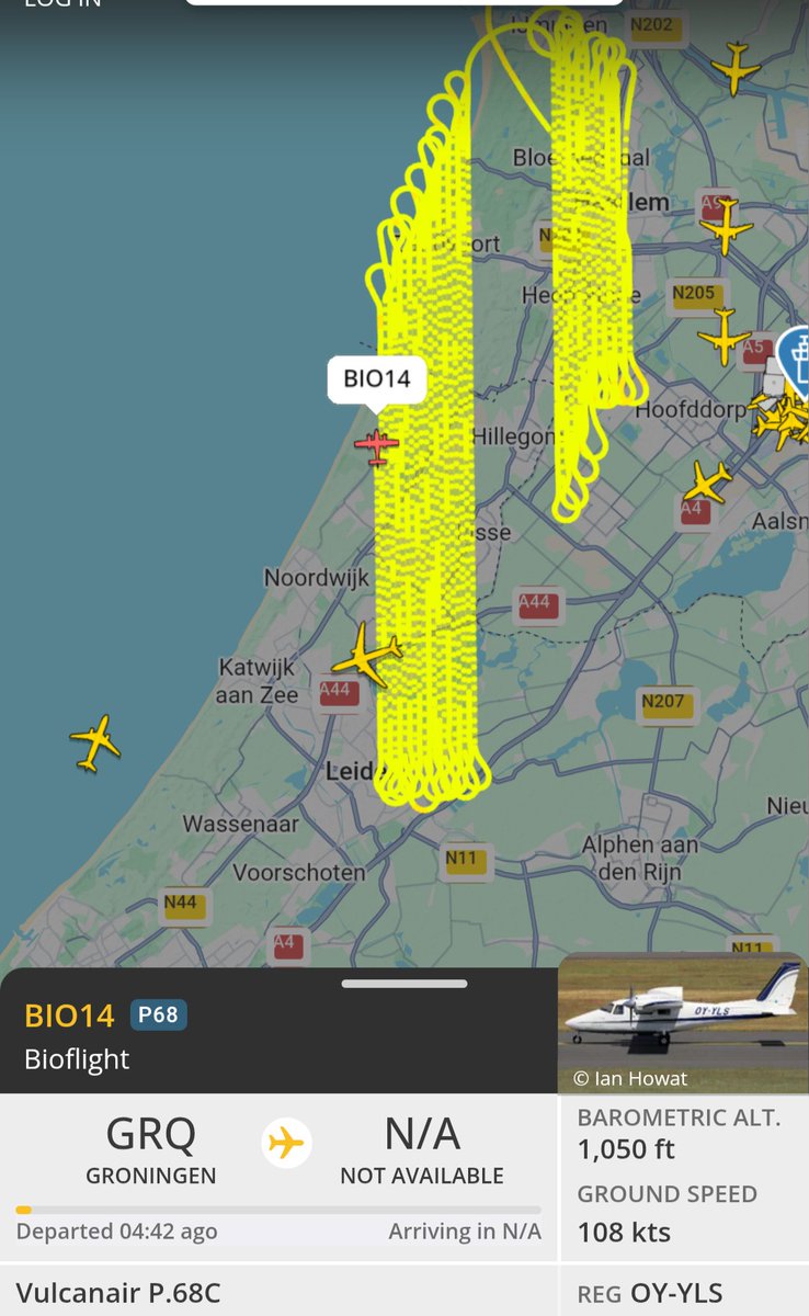 Oscar Neil tweet media