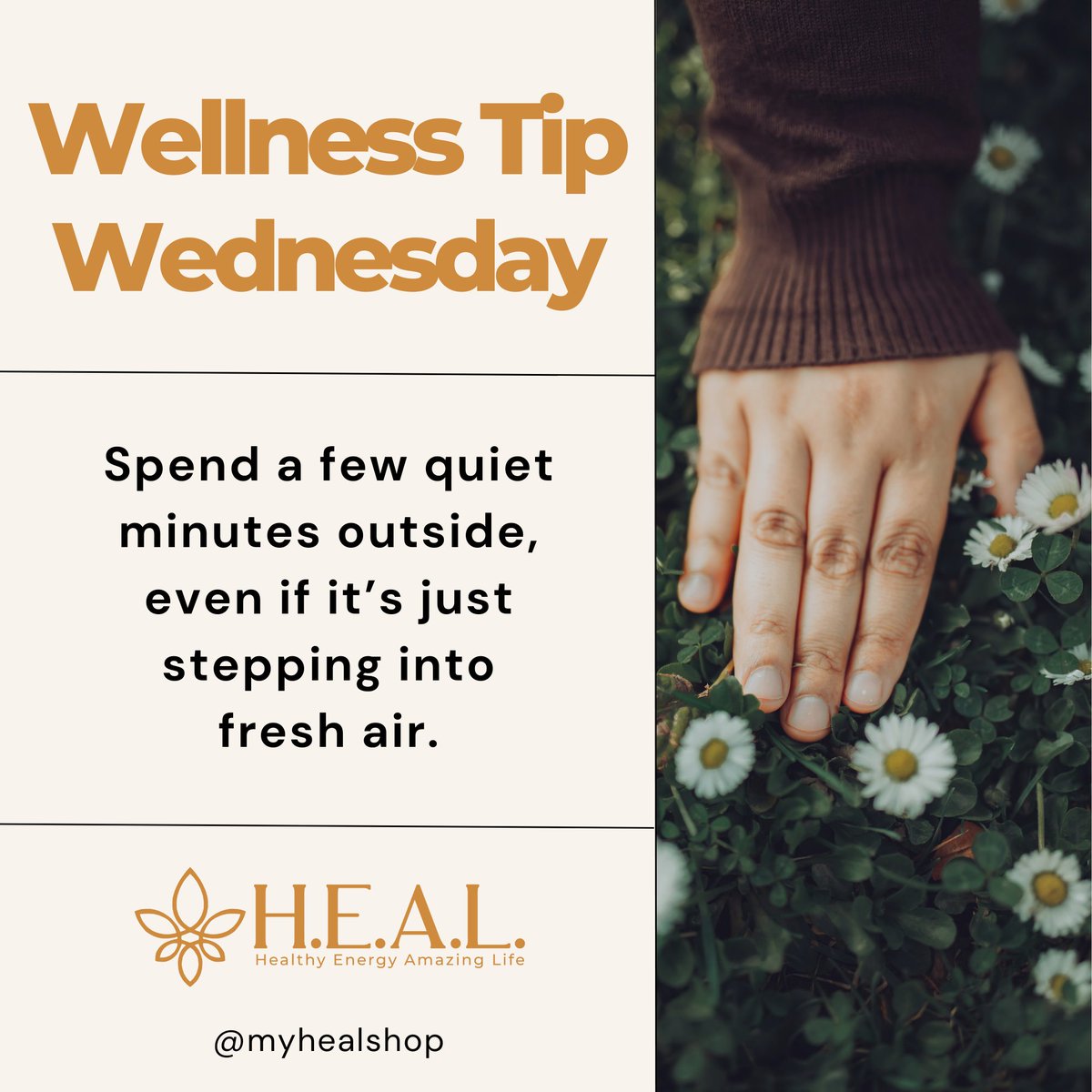 MyHealShop's tweet photo. A few moments outdoors can help everything feel a little more spacious.
#myhealshop #WellnessWednesday #FreshAir #NaturePause #GroundedLiving https://t.co/b9z6XCNOQF