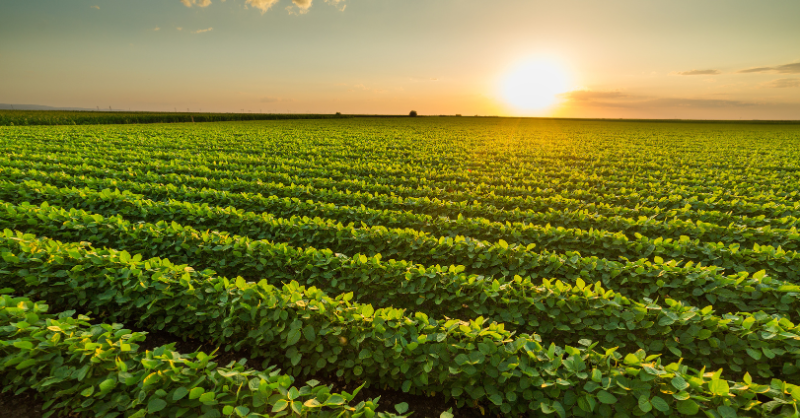 Banco Mundial tweet media