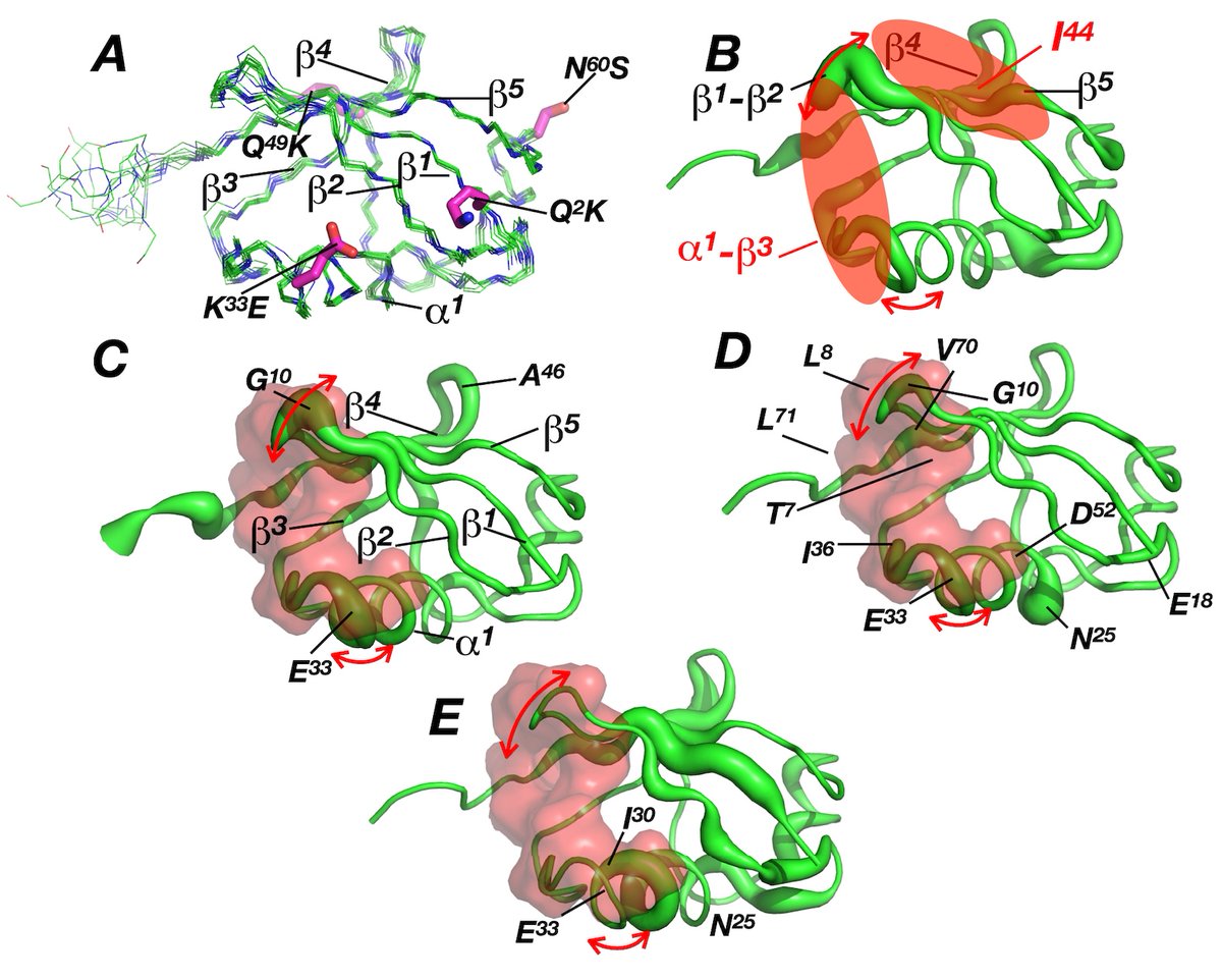 Biochemistry and Cell Biology tweet media