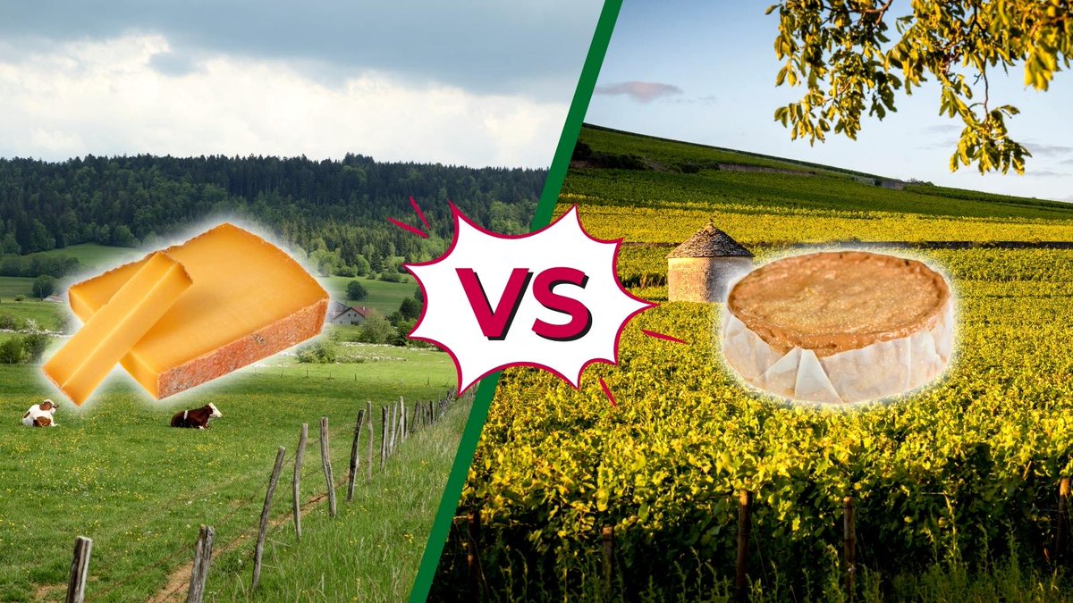 TRAIN Mobigo par SNCF Voyageurs tweet media