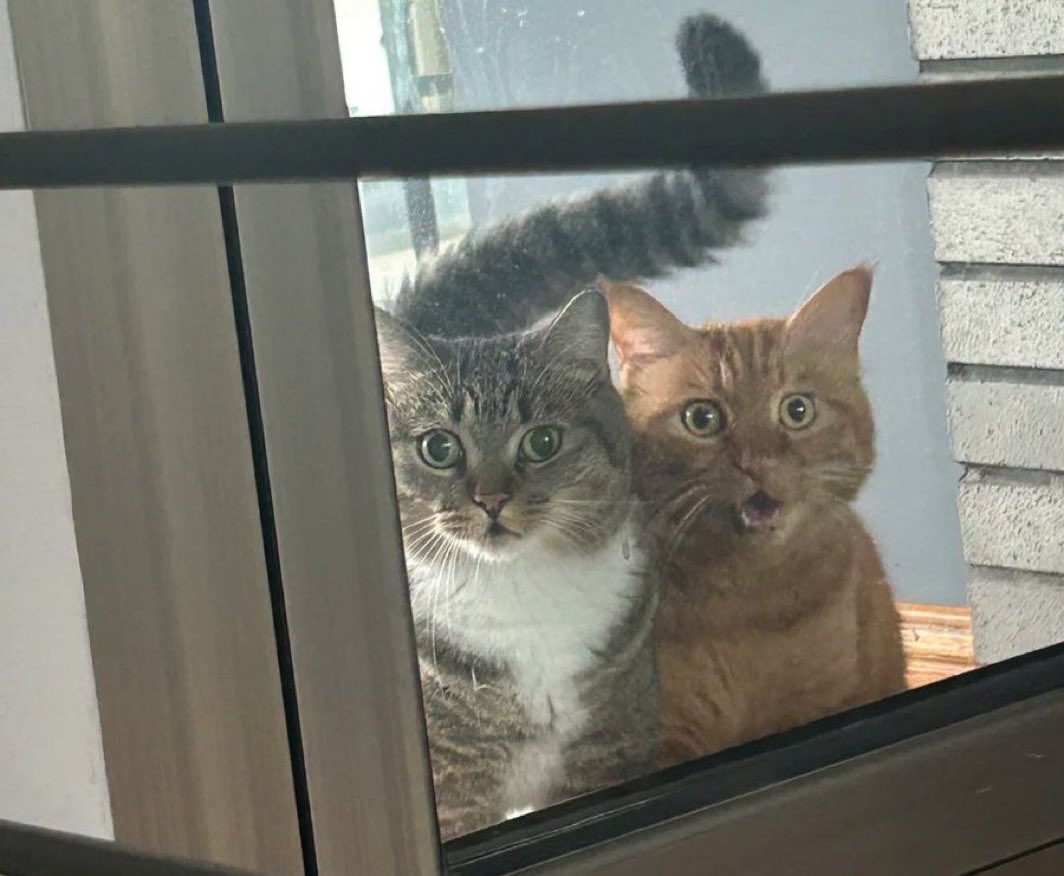 よよさん/仙くん tweet media