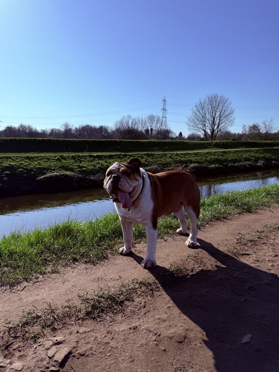 Christian Macutkiewicz 🏳️🌈 (he/him) tweet media