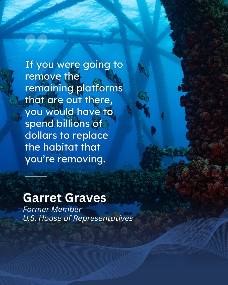 rigstoreef's tweet photo. Offshore structures become living reefs and once they’re gone, the habitat goes with them. Keeping reefing options on the table is how we preserve marine life and fisheries.  #rigstoreef https://t.co/CsqFf3FQ8Z