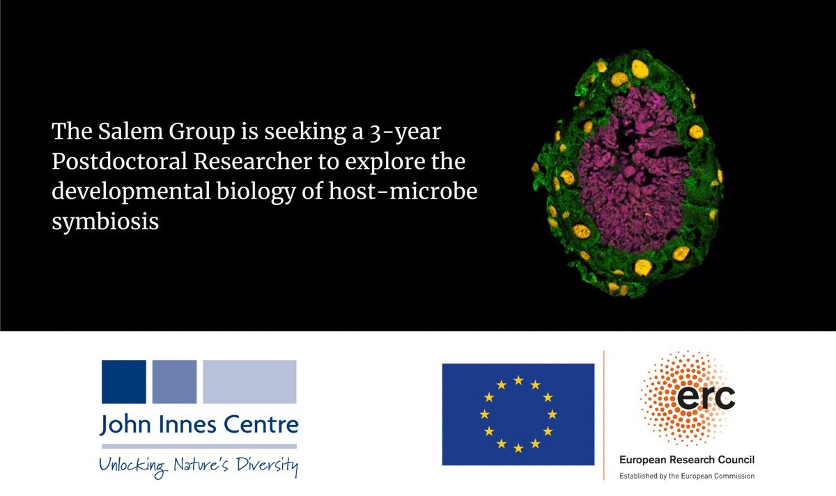 Hassan Salem tweet media