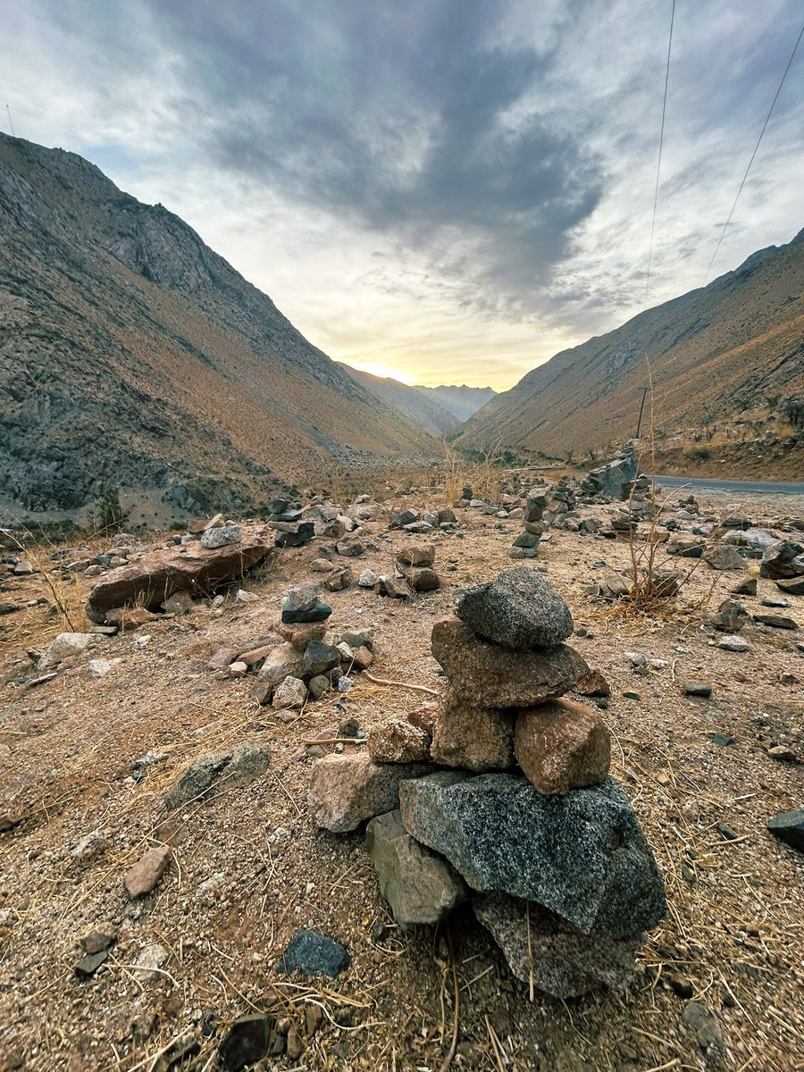 Michelle Blin L tweet media