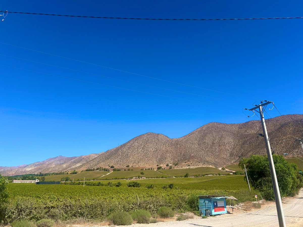 Michelle Blin L tweet media