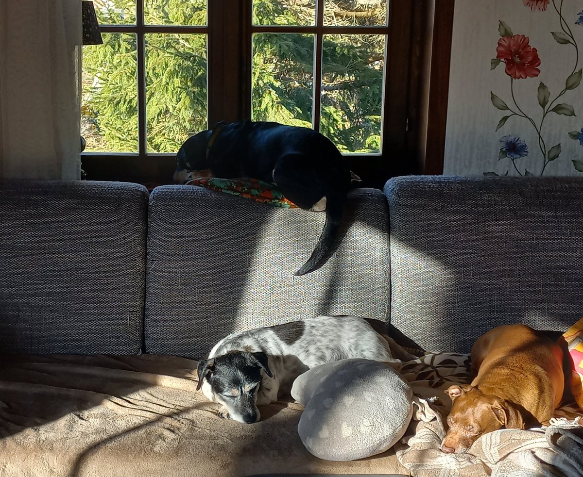 Inese Zepa tweet media