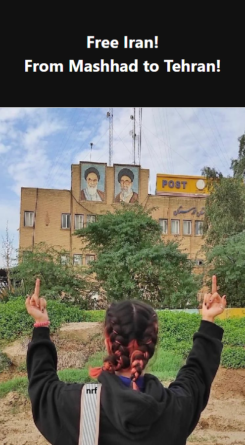 Robab Fridzadeh tweet media