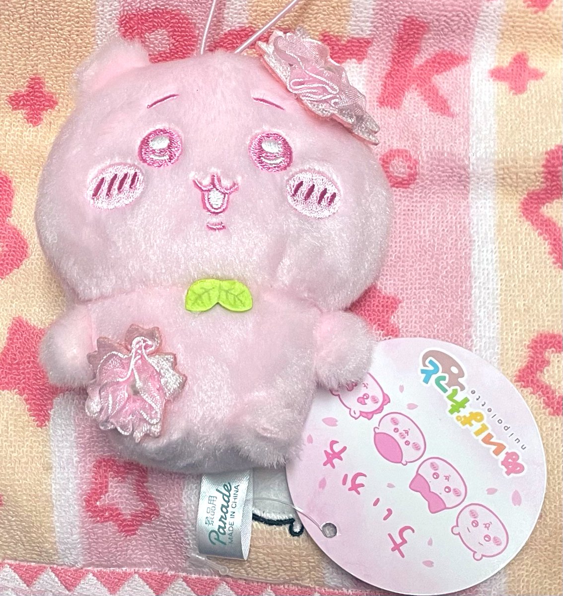 新しいちいちゃんが仲間入り☺️🌸