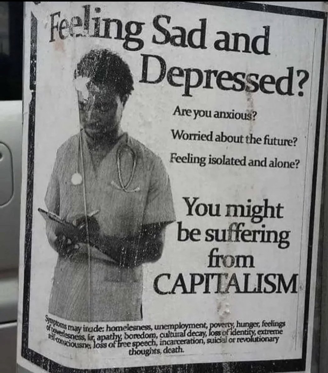 🧡Lulu🌾; tweet media