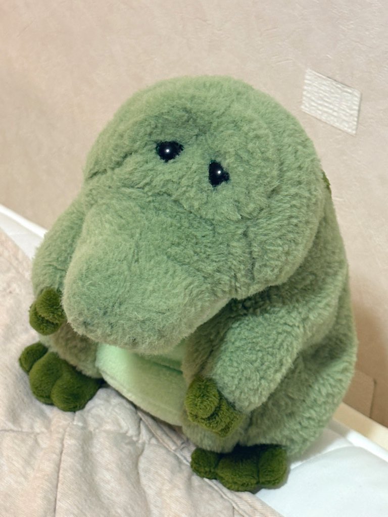 trpg_takashi's tweet photo. ぬいぐるみを愛している皆さまは落ち込んだ時どうしていますか？？
今、仕事でミスしただめな自分に落ち込んでおりまして...皆さんのぬいセラピーを教えていただけたらありがたやです（ ;  ; ）
#みんなのぬいセラピー #ぬい活 #ぬい撮り https://t.co/BuxL8tMS0B