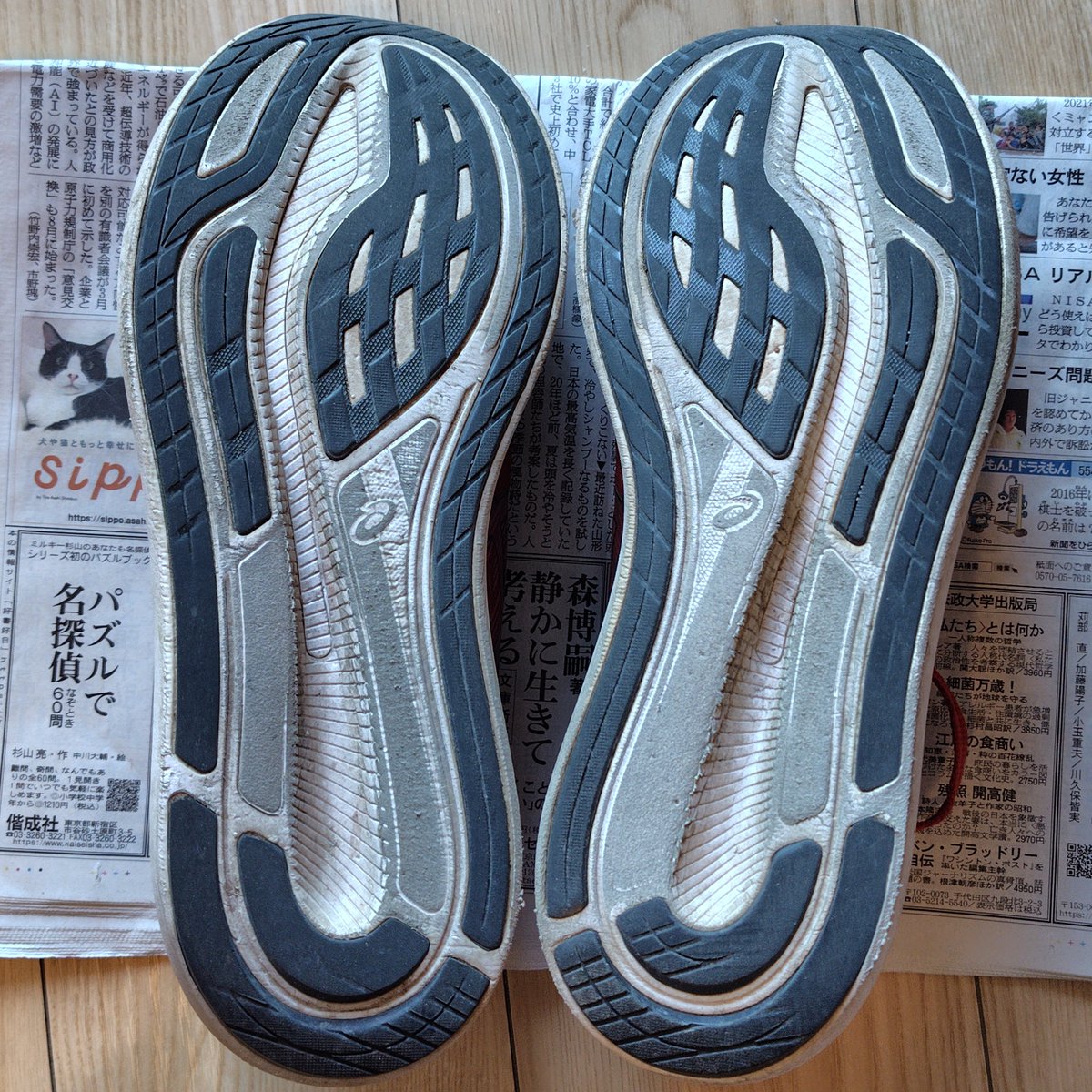 もりたす@かすみがうら→サロマ湖 tweet media