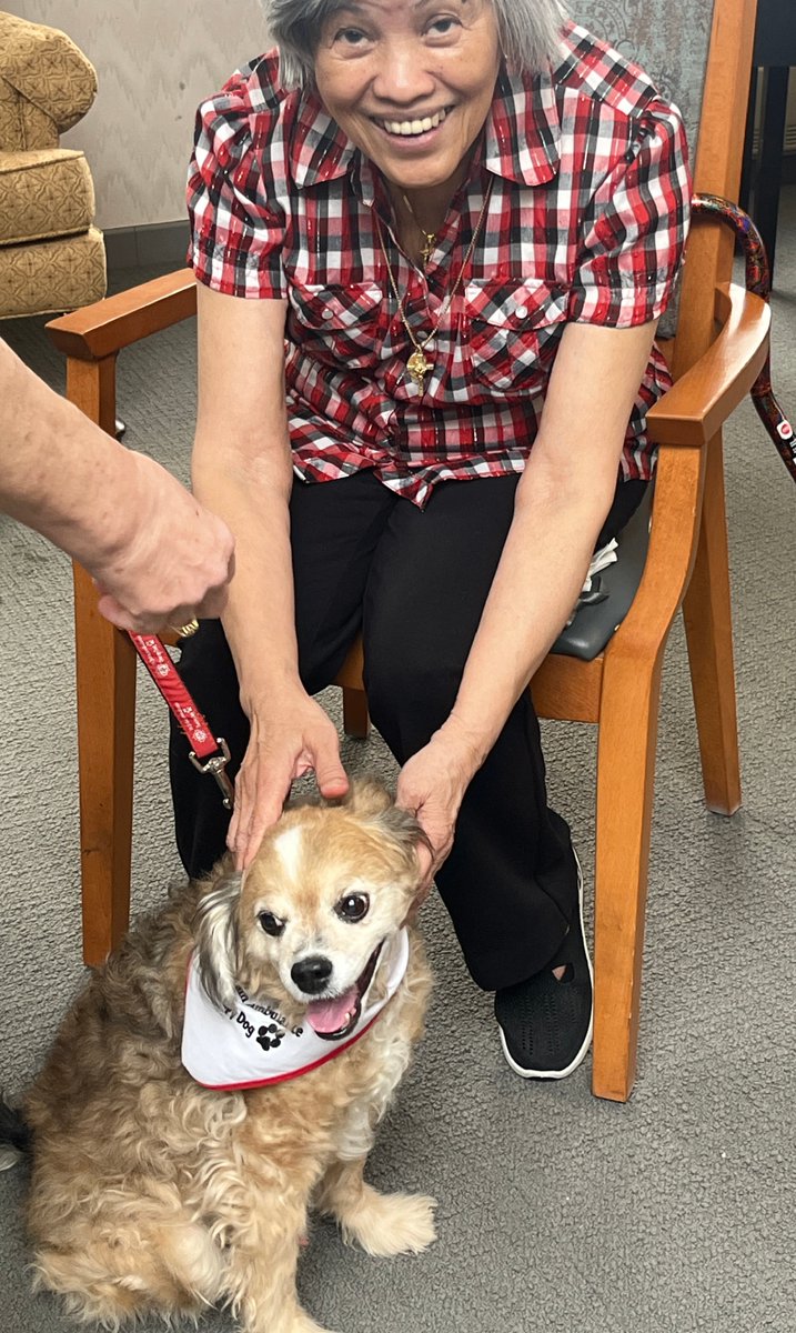 St. Bernard's Residence tweet media