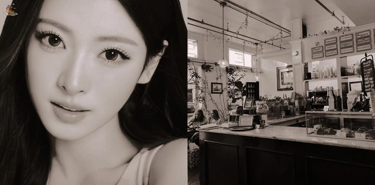 SOC-IE 💛 ˚☽˚.⋆ tweet media