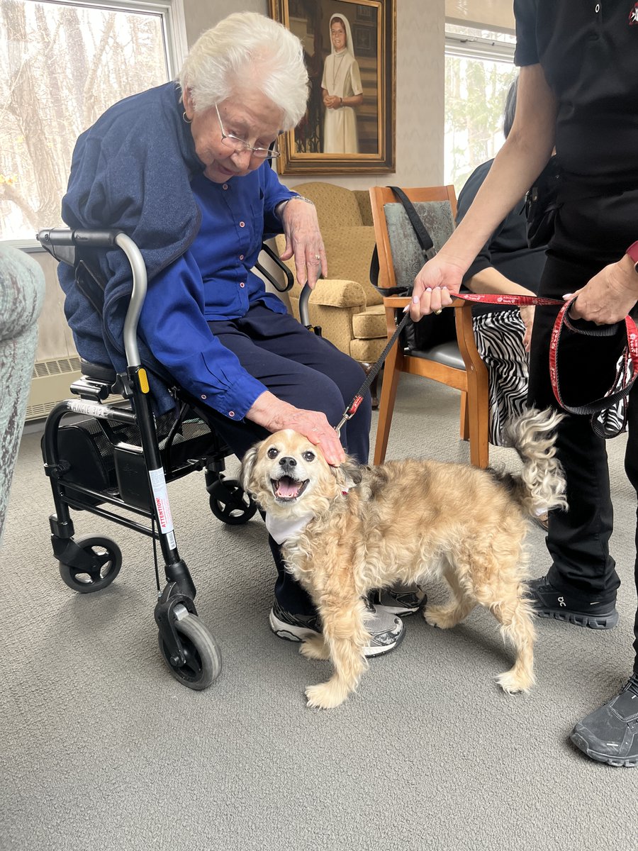 St. Bernard's Residence tweet media