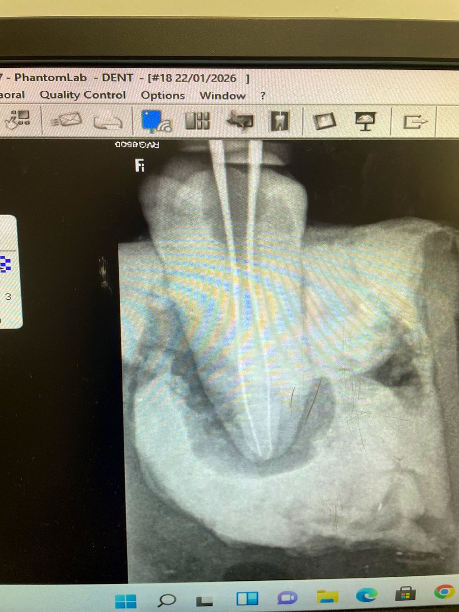 أرجوان tweet media