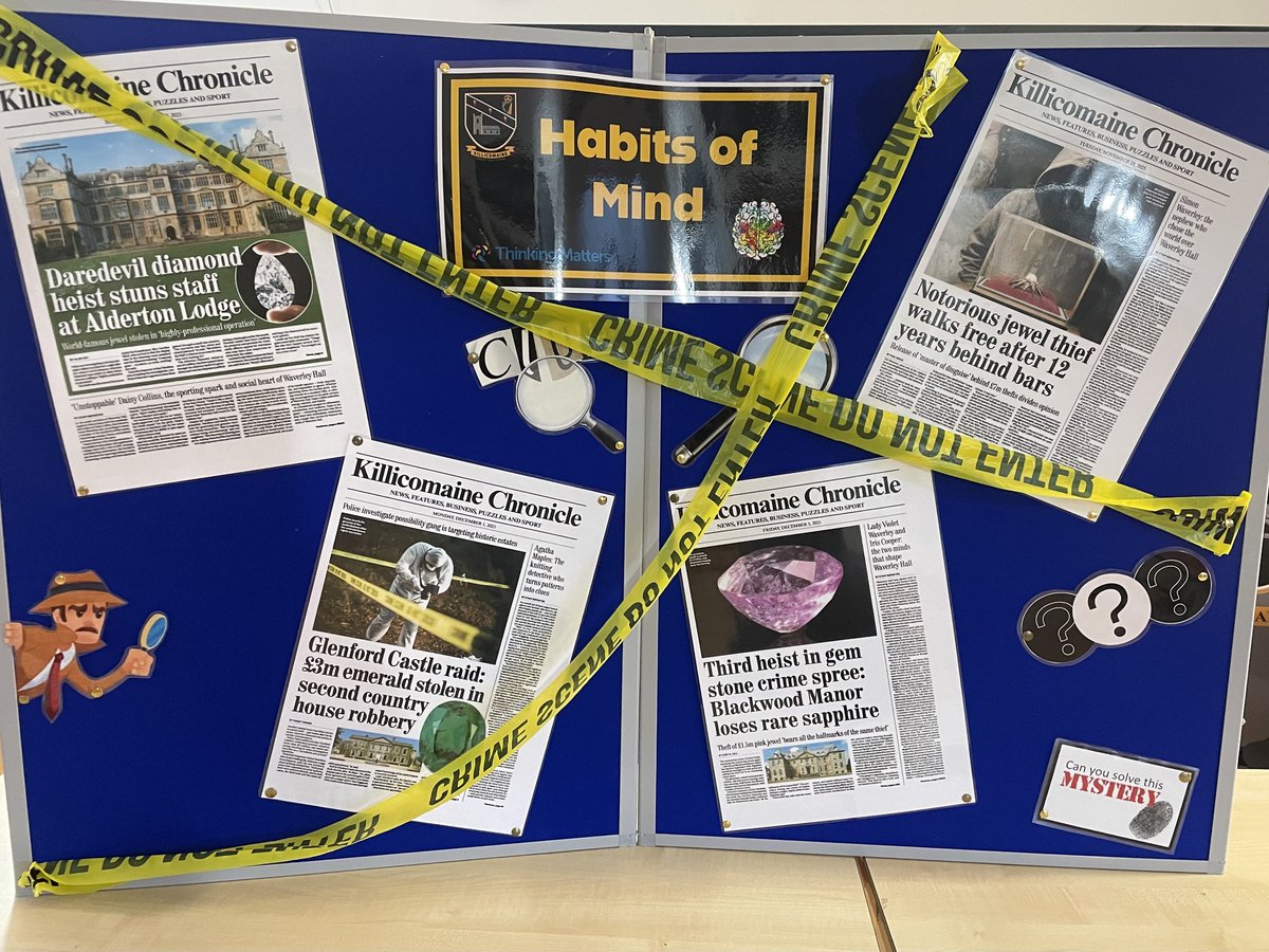 Thinking Matters (Whole School Metacognition) tweet media