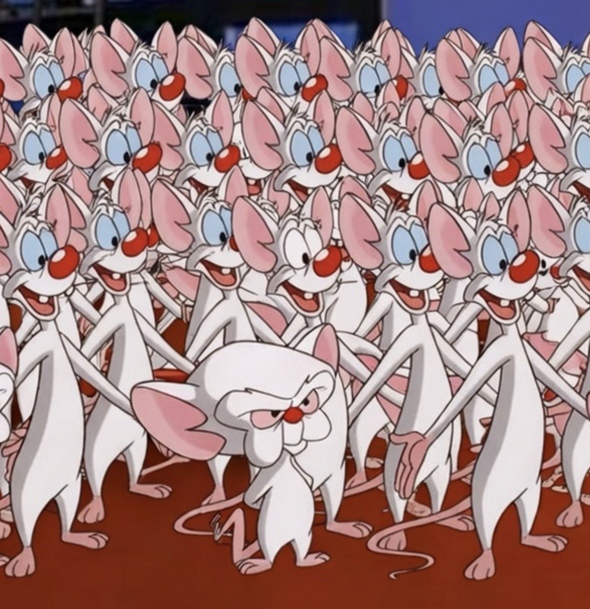 Cerebro®️ tweet media