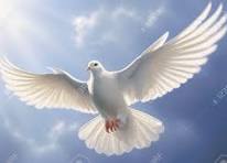 El mundo necesita la paz #CubaVencerá #CubaEstáFirme