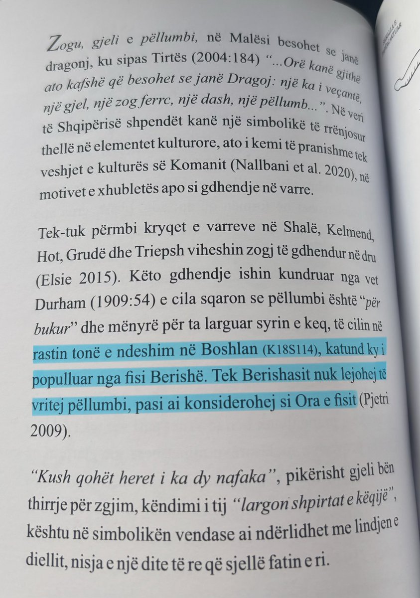 BerishaShin's tweet photo. 🕊️ora e fisit https://t.co/reYCa2cZnz