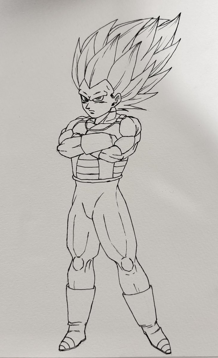 ダイマベジータ3
戦闘服ミスあったので写真撮った後に描き直してる
スケブに描いたの約1年ぶりだったの笑った