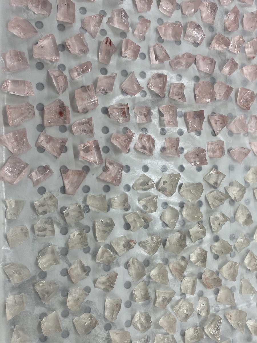 へちまる🧸🤎ྀི tweet media