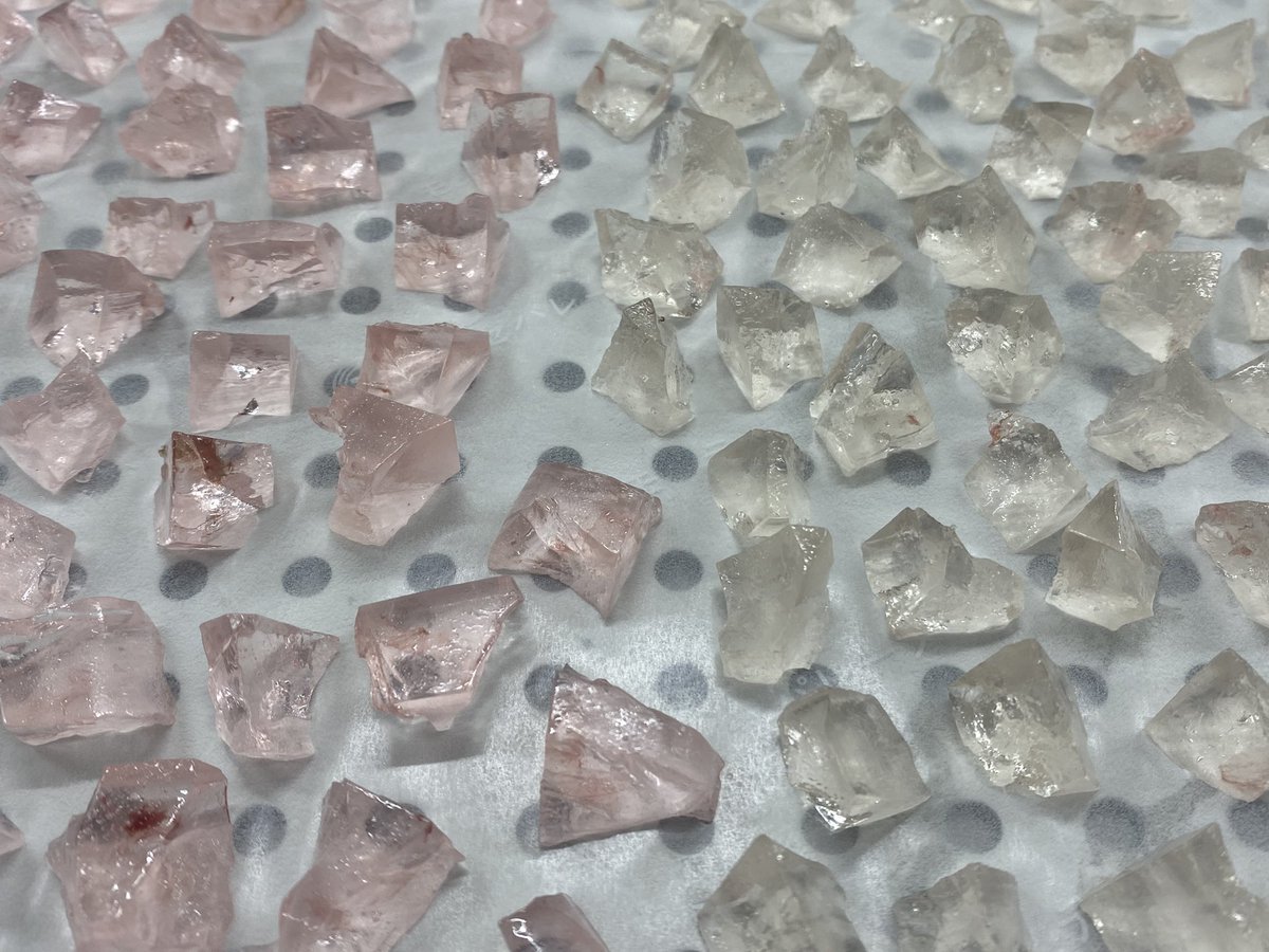 へちまる🧸🤎ྀི tweet media