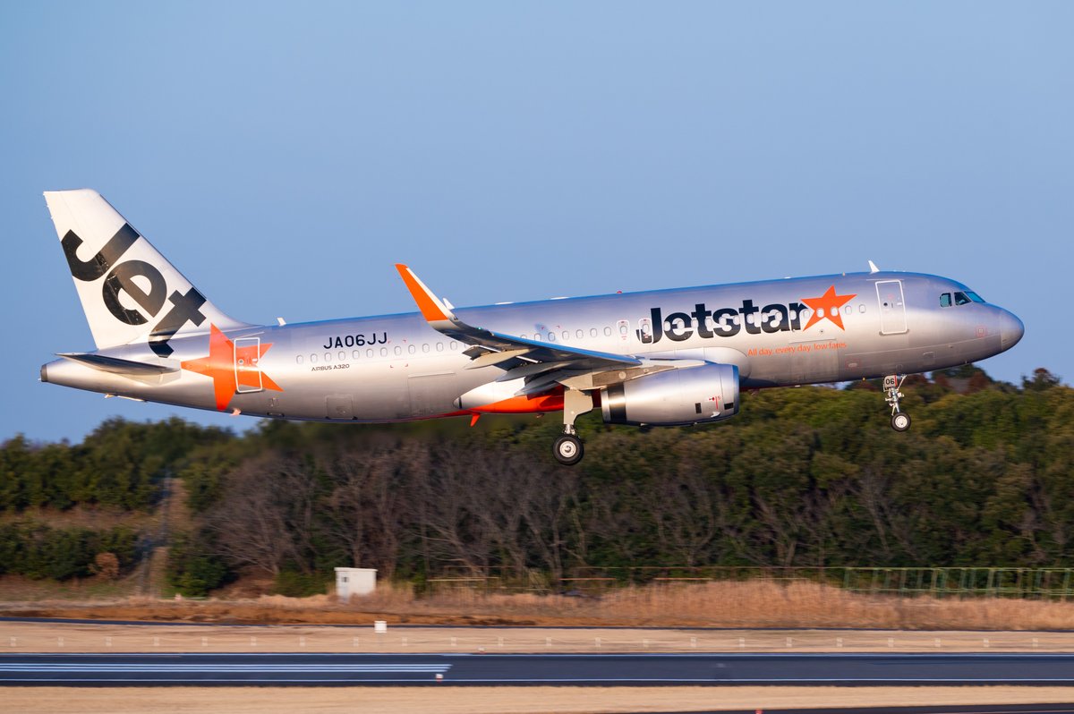 Thickey(ティッキー) tweet media