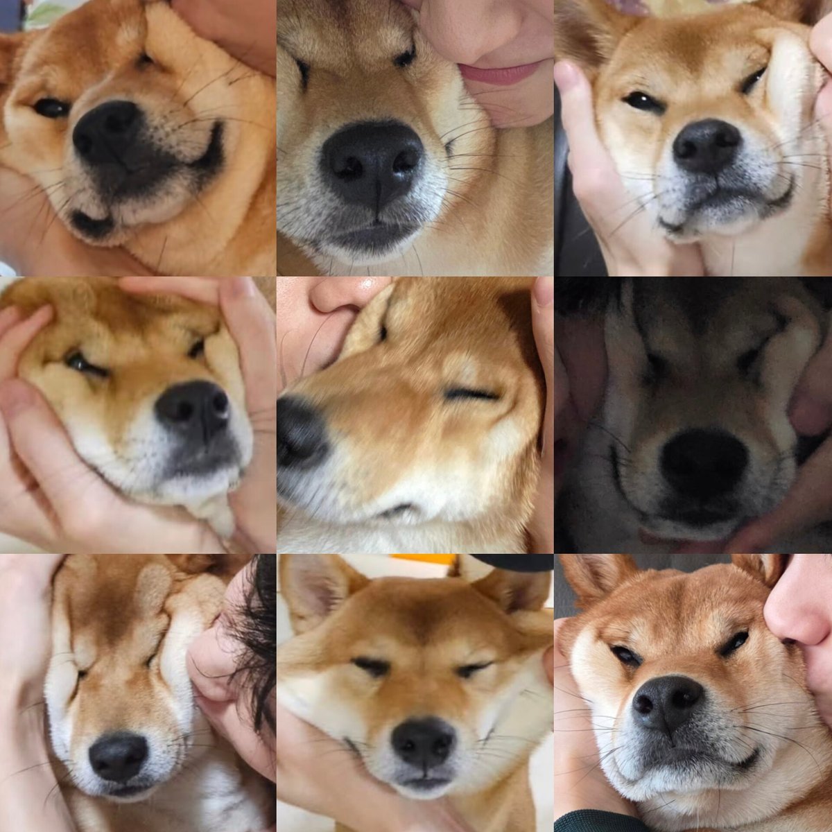 ㅋㅋㅋㅋ