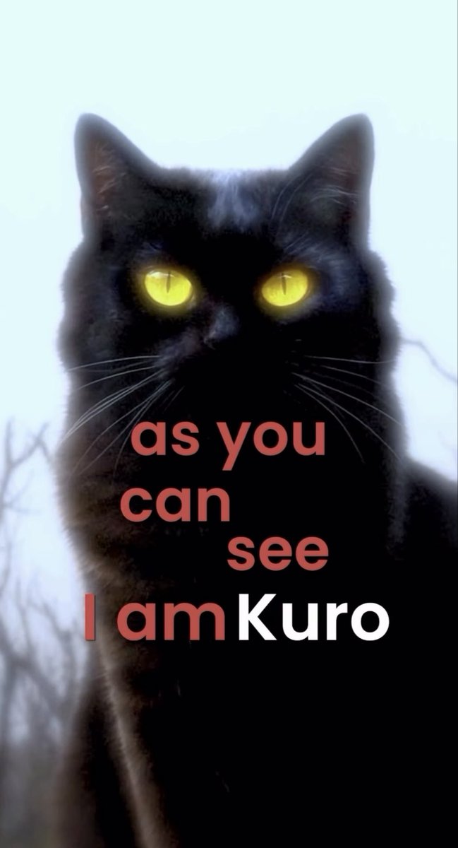 Tech Project tweet media