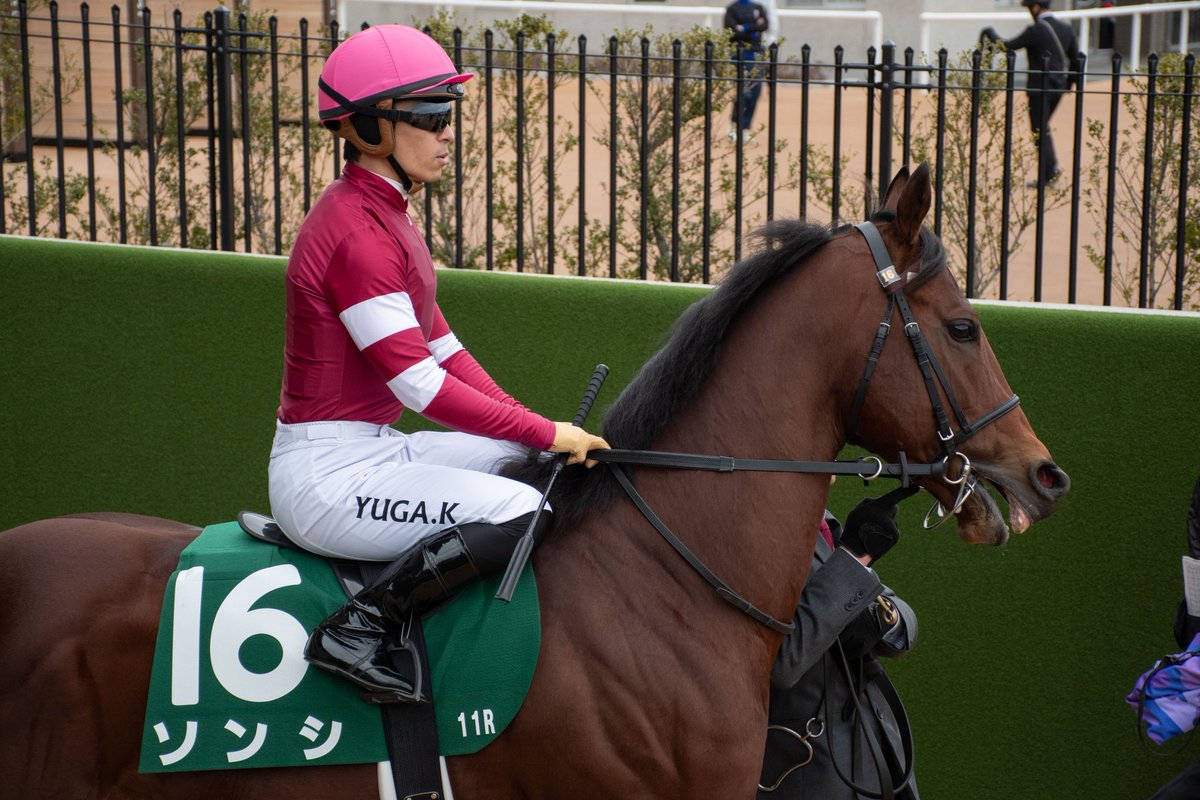 貸切大賞典 tweet media