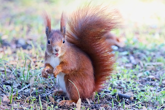 Neil Roberts tweet media