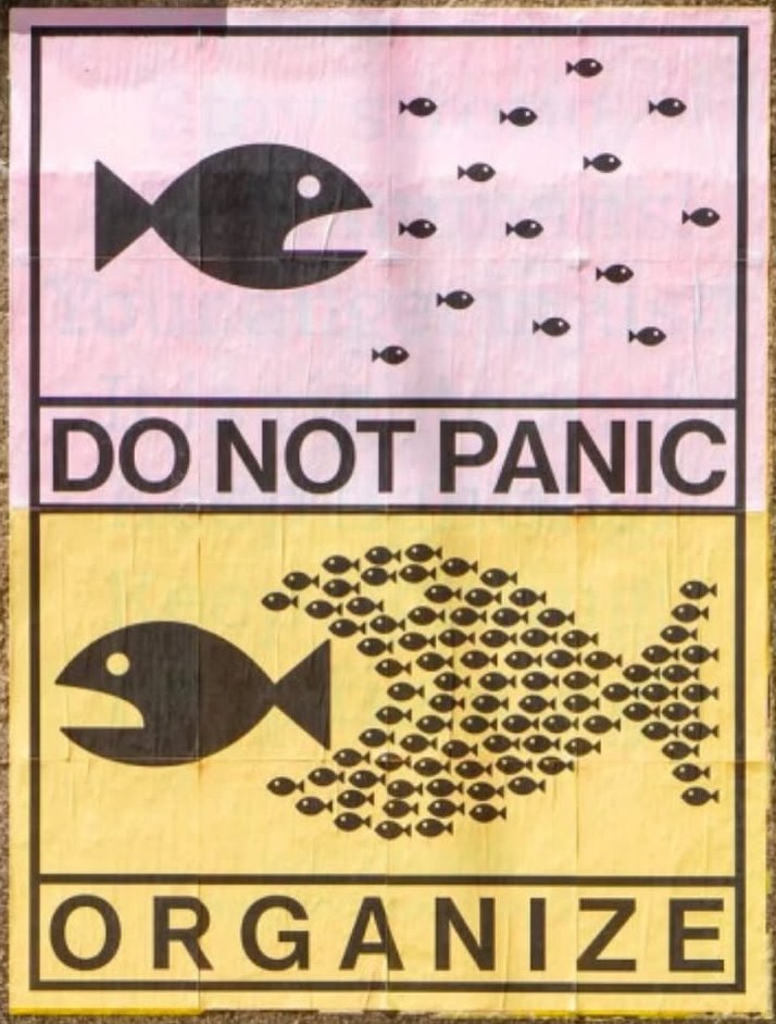 TOPLANIN ATILIN ÇÖKÜN YIĞILIN YAVRU KURTLAR #OyunKararıOyuncunundur #OYUNUMADOKUNMA