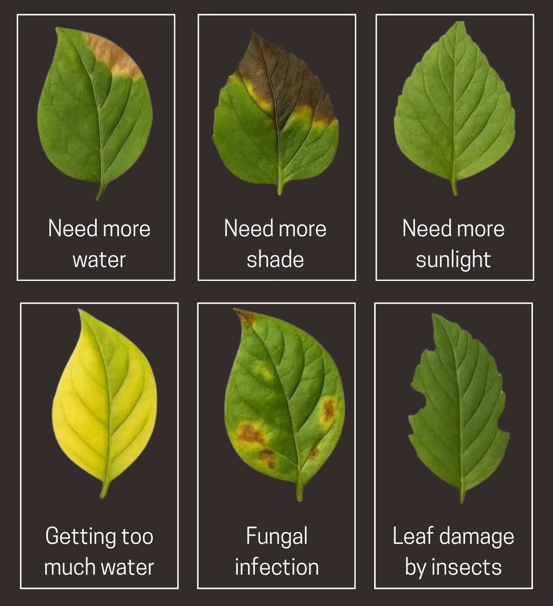 Untold Secrets tweet media