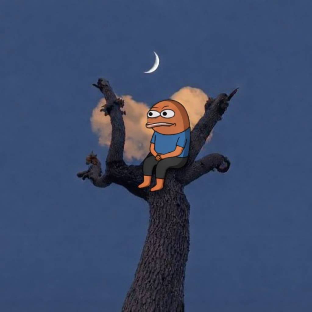 BOB (mainnet arc) tweet media