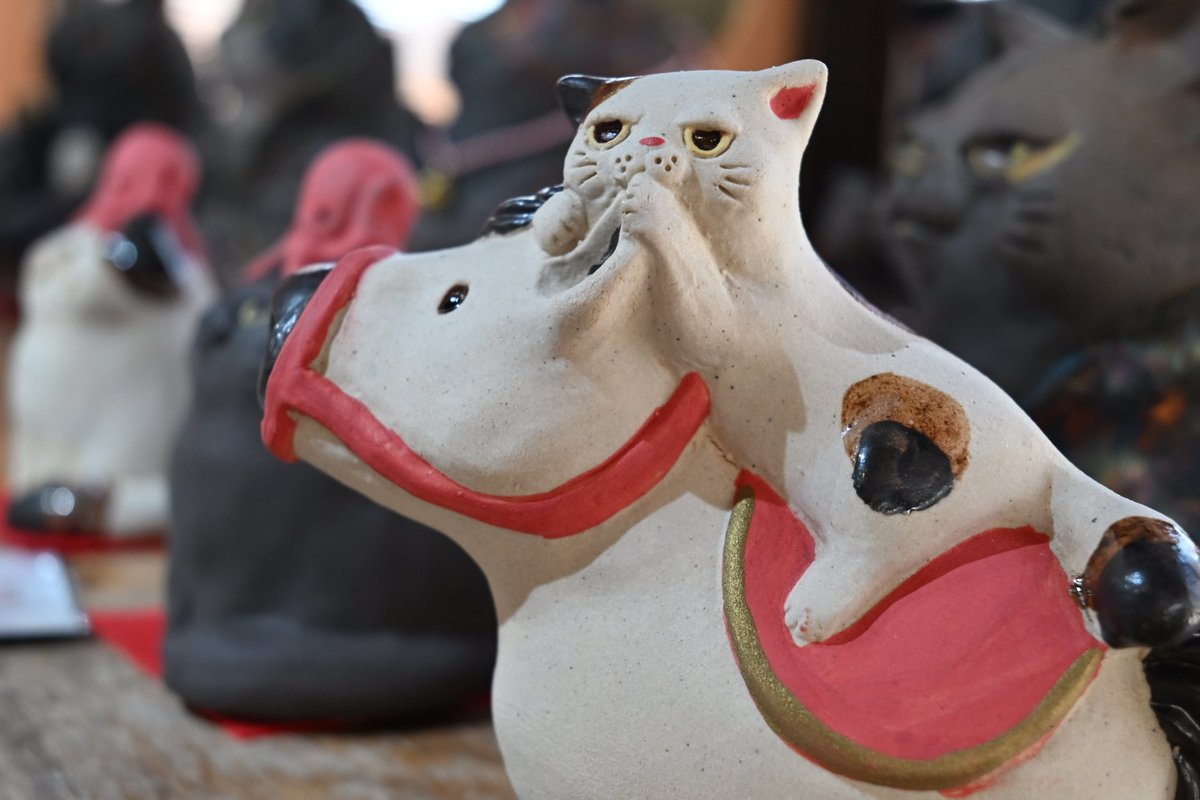 布施猫 (@c_a_takurofuse) / Posts / X