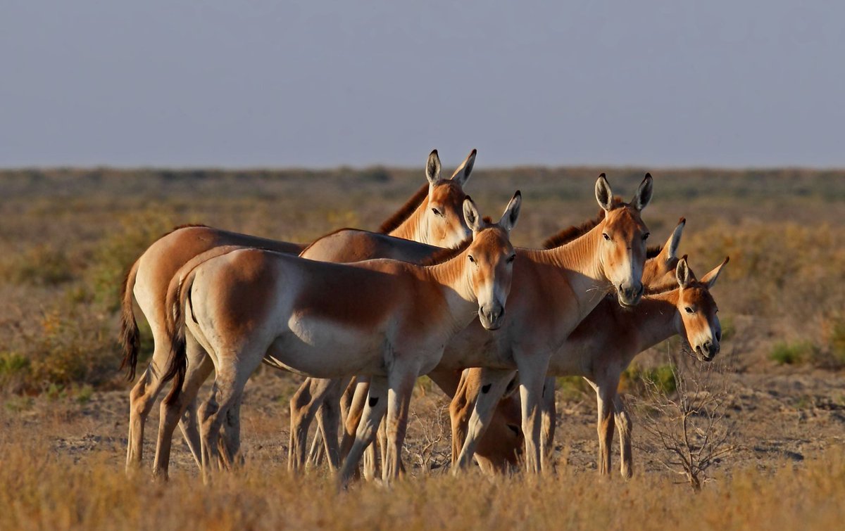 UNDP Kazakhstan 🇰🇿 tweet media