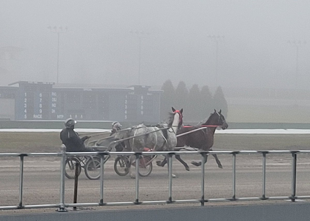Buffalo Raceway tweet media