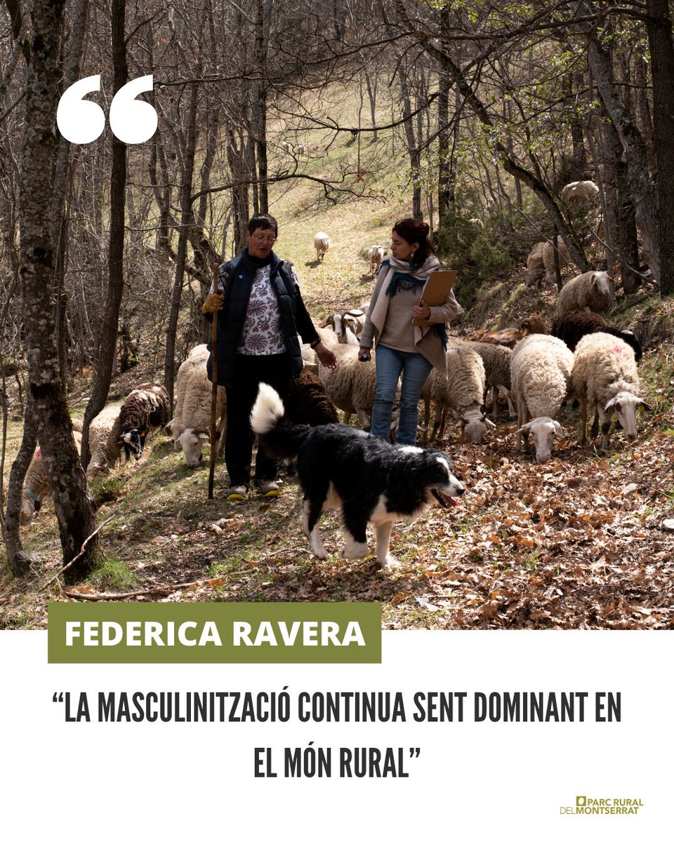 Parc Rural del Montserrat tweet media