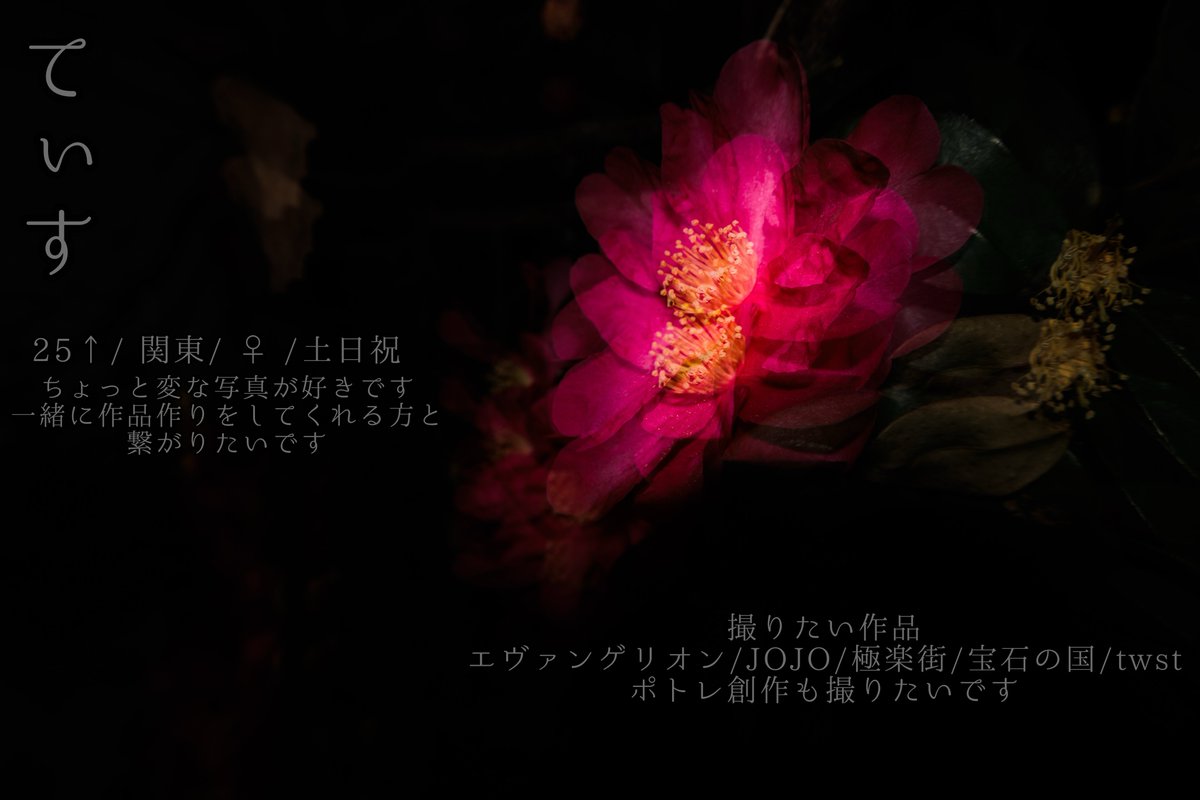 てぃす🪼新規予定要相談 tweet media