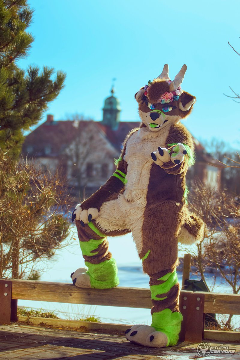 Yuru 🔜 NFC tweet media