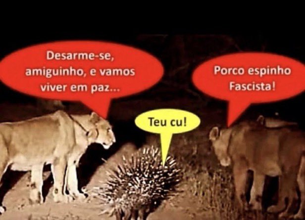 Quem_e_Satoshi's tweet photo. https://t.co/nu7OXx2XFU