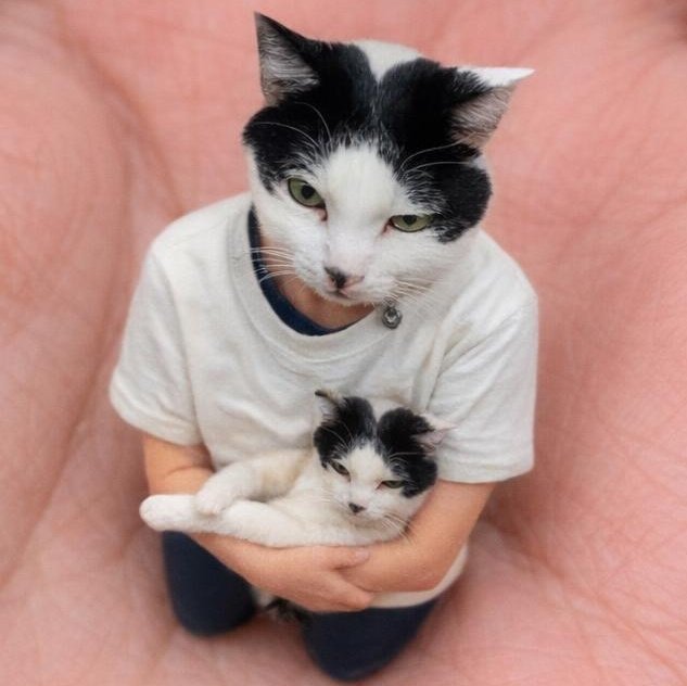 Чикаша☆ tweet media