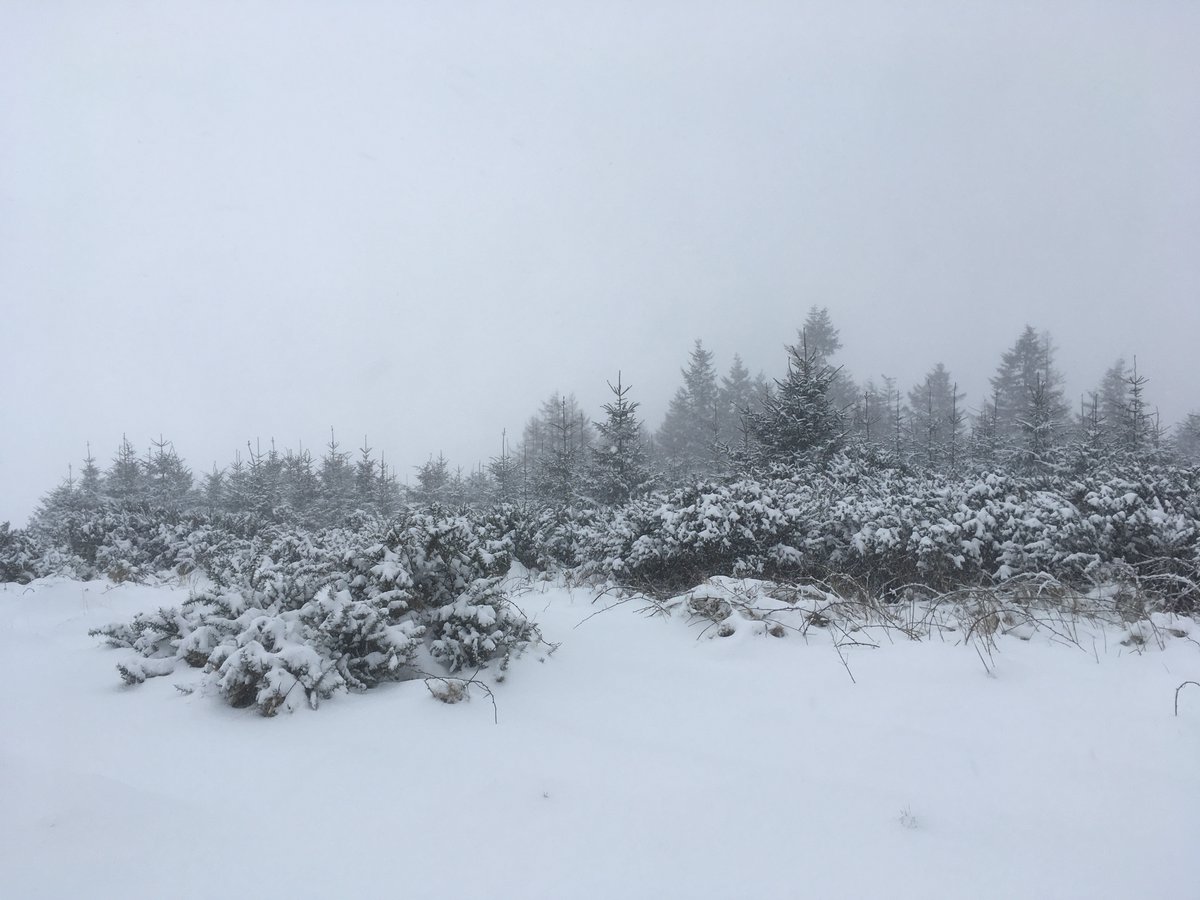 SavetheHellfire tweet media