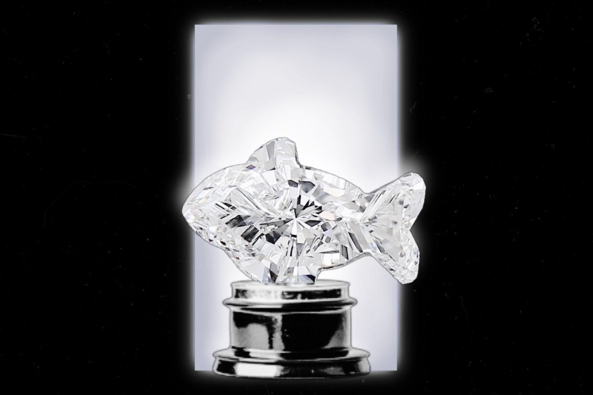 DiscussingFish tweet media