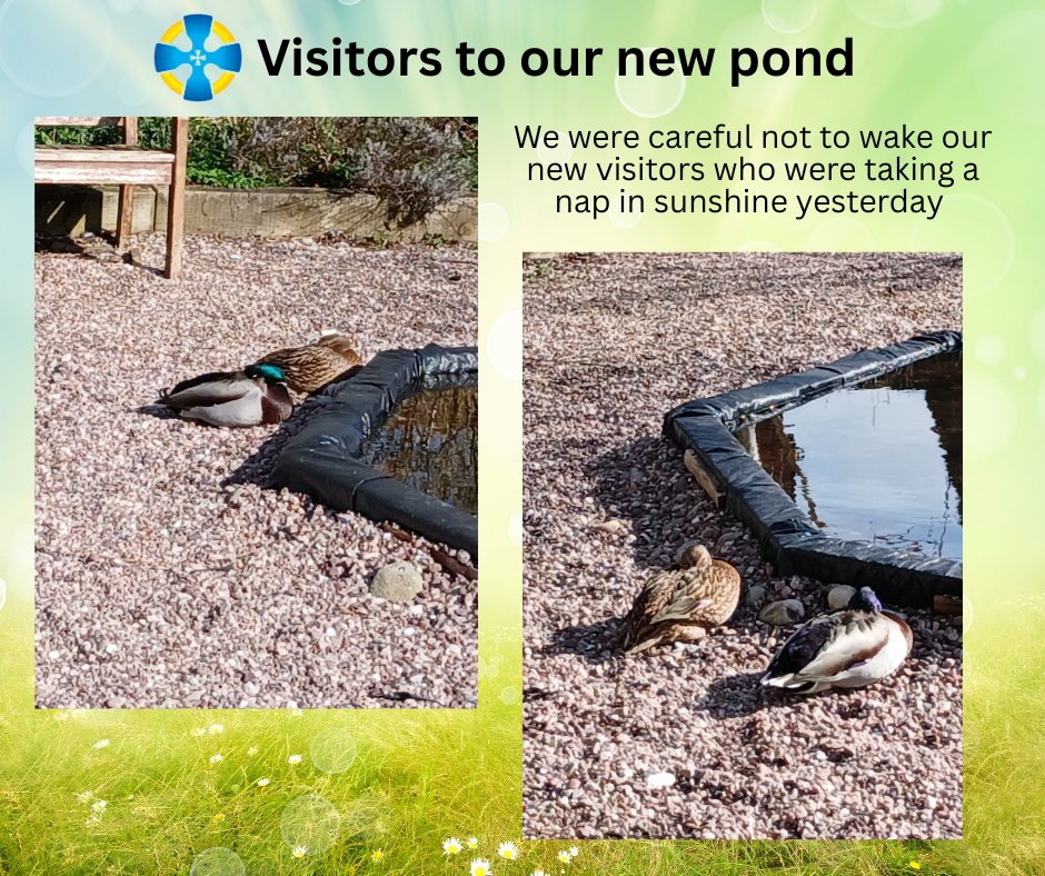 Sandbach High School tweet media