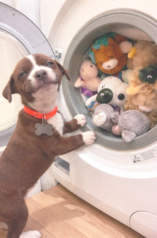 Picture of the day ❤😊😍