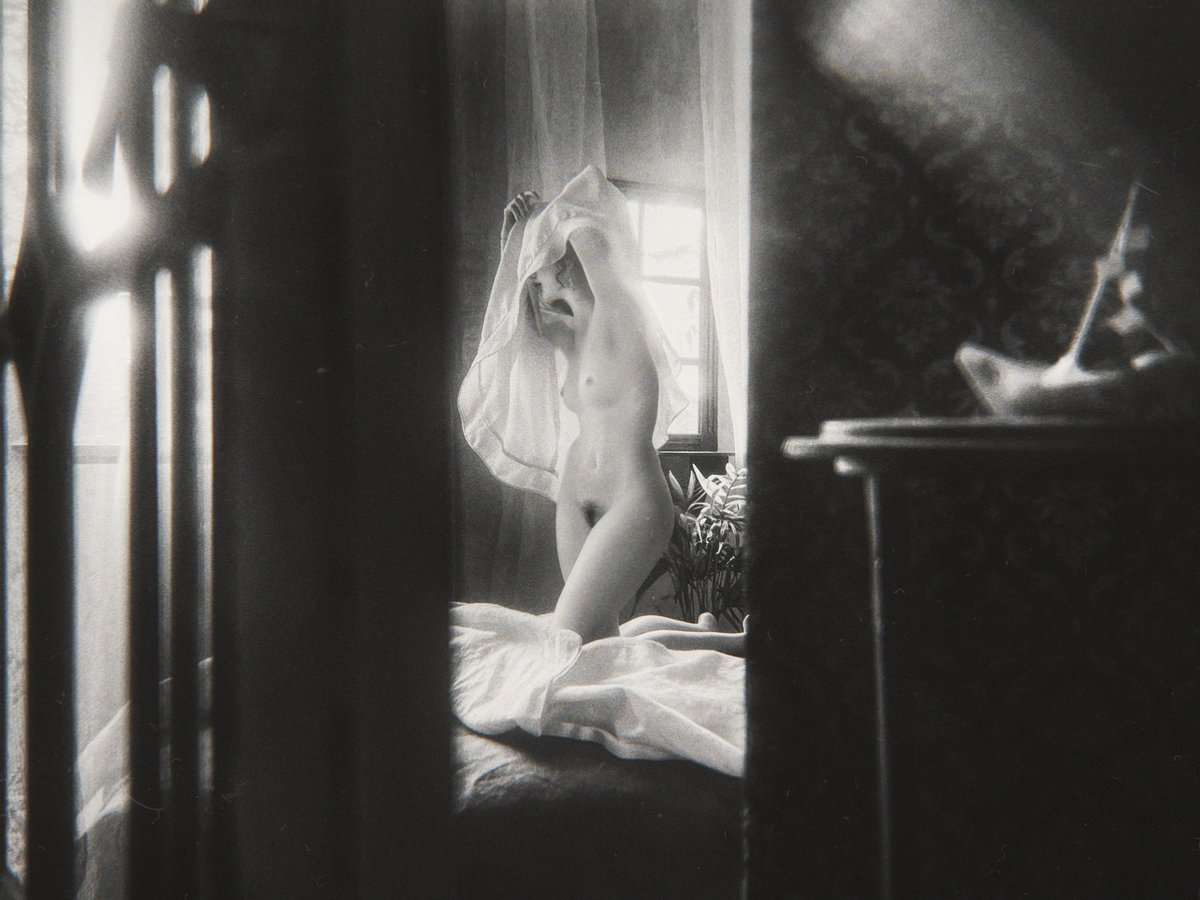 thycloudmuseum tweet media