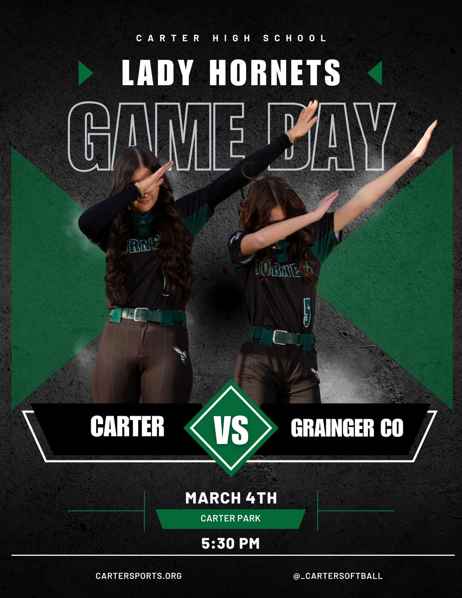 Carter Lady Hornet Softball tweet media